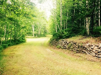 Sentier traversant les bois