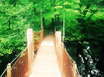 Footbridge crossing river